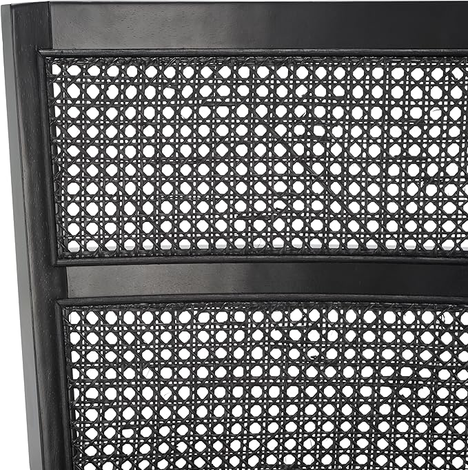 SAFAVIEH Home Collection Toril Coastal Black Dining Chair Set of 2